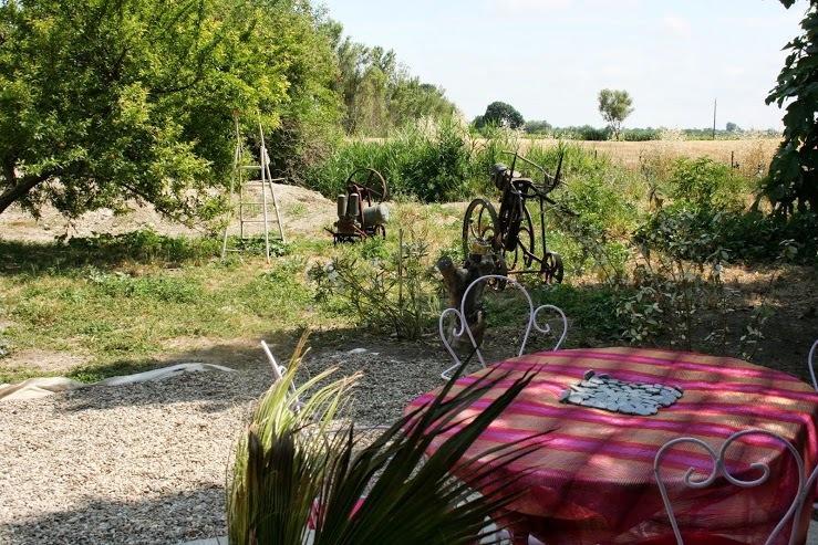 Aux Roses De L'Etang Hotel Capestang Buitenkant foto
