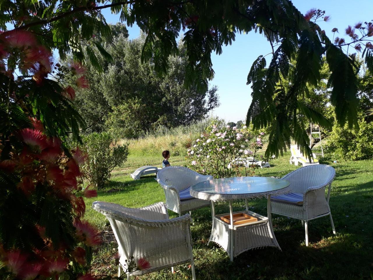 Aux Roses De L'Etang Hotel Capestang Buitenkant foto