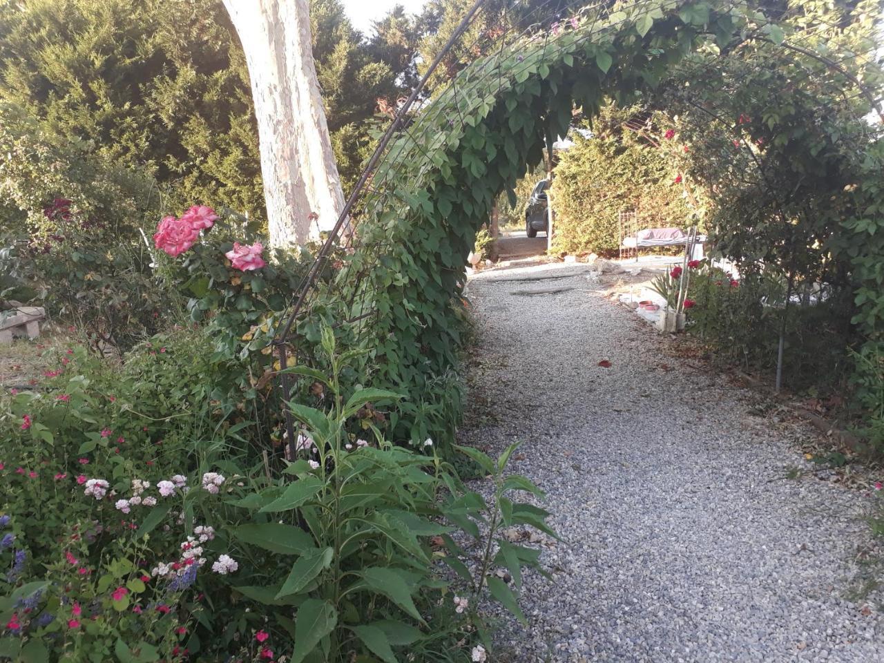 Aux Roses De L'Etang Hotel Capestang Buitenkant foto