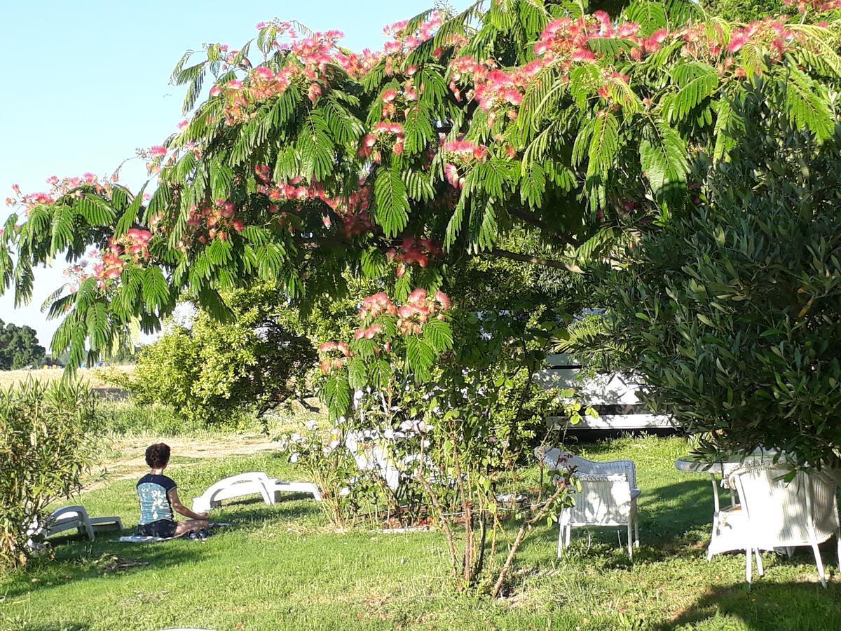 Aux Roses De L'Etang Hotel Capestang Buitenkant foto