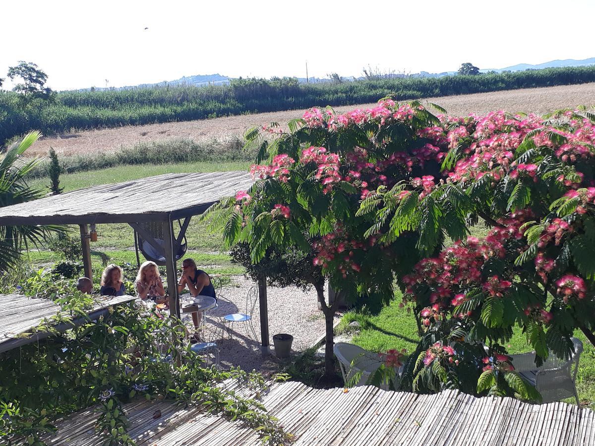 Aux Roses De L'Etang Hotel Capestang Buitenkant foto
